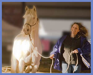photo by Pat Schlesinger, HorseSpirit Equine Photography